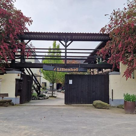 Moderne Ferienwohnung Black Beauty Auf Idyllischem Reiterhof Naehe Burg Eltz Münstermaifeld Dış mekan fotoğraf